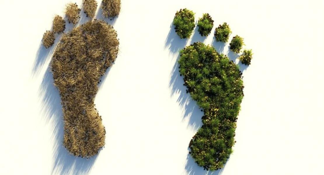 Monabanq appli : mon empreinte carbone