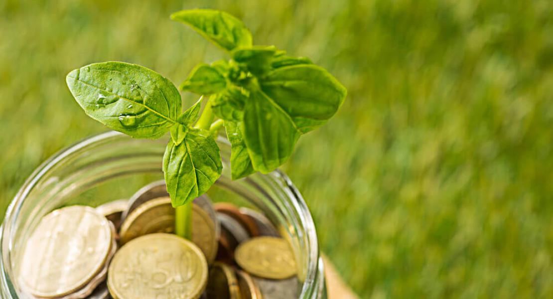 Regular, le compte pour l'écologie et le rendement